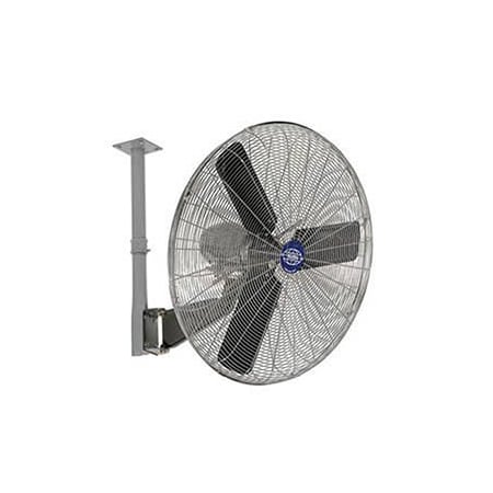 Global Industrial Deluxe Fan, Ceiling Mount, 30 in Blade Dia, 120V 795974